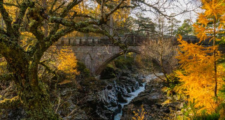Un puente de piedra cruza un arroyo rocoso enmarcado por árboles musgosos y colores vivos de otoño.