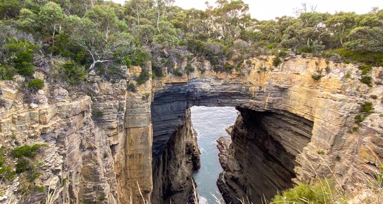 Arco de roca natural tallado por el mar que atraviesa un estrecho abismo con agua del océano muy abajo y denso bosque costero arriba.