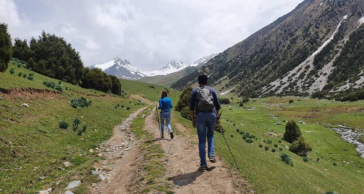 Twee wandelaars die over een onverharde weg door een groene alpenweide lopen richting besneeuwde pieken, een van hen gebruikt trekkingstokken.