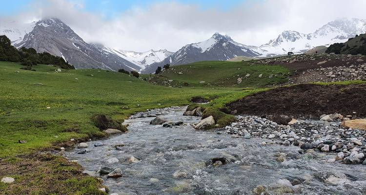 Heldere bergbeek die zich door groene alpenweiden slingert met besneeuwde toppen op de achtergrond.