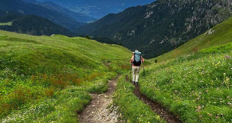 Randonneur solitaire marchant le long d'un étroit sentier alpin fleuri entre des collines verdoyantes.