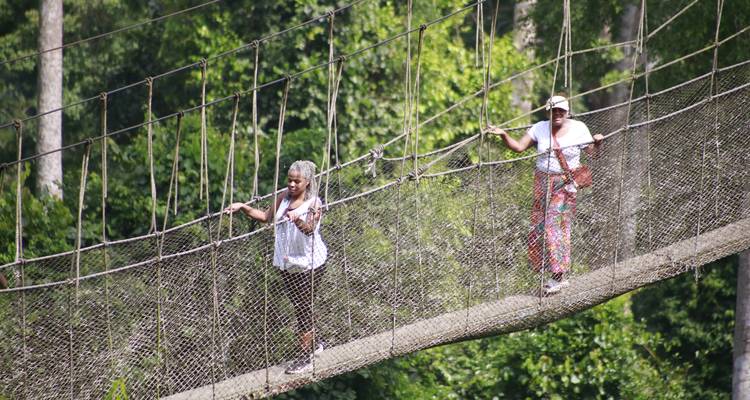 Deux femmes traversent prudemment un pont de corde suspendu au-dessus de la canopée dense de la forêt tropicale.