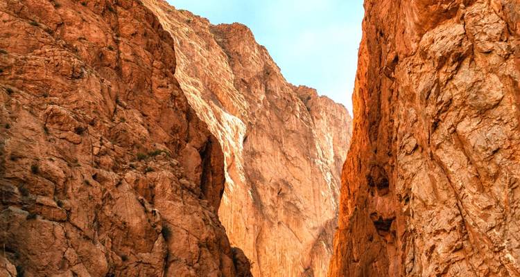 Narrow towering red cliffs of Todra Gorge lit by sunlight against blue sky.