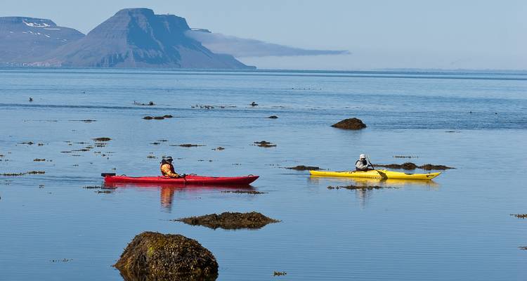 Two sea kayaks on a glassy fjord with distant flat-topped mountain and kelp beds