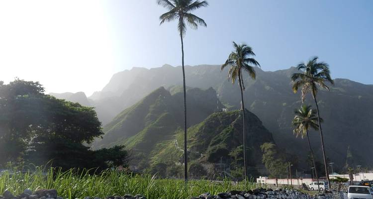 De grands palmiers s'élevant contre des montagnes vertes spectaculaires enveloppées dans la brume matinale à Santo Antão.