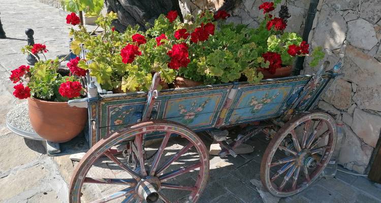Chariot en bois rustique débordant de géraniums rouges garé dans une rue pavée.