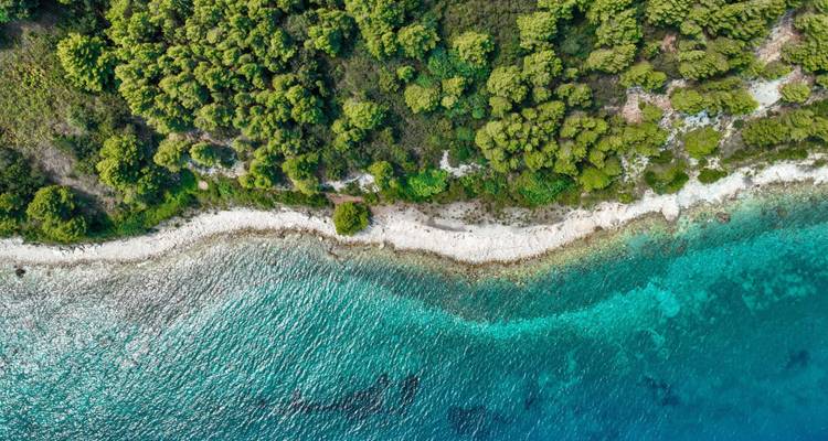 Vue aérienne d'une plage de sable blanc bordée de forêt et d'une mer turquoise éclatante.