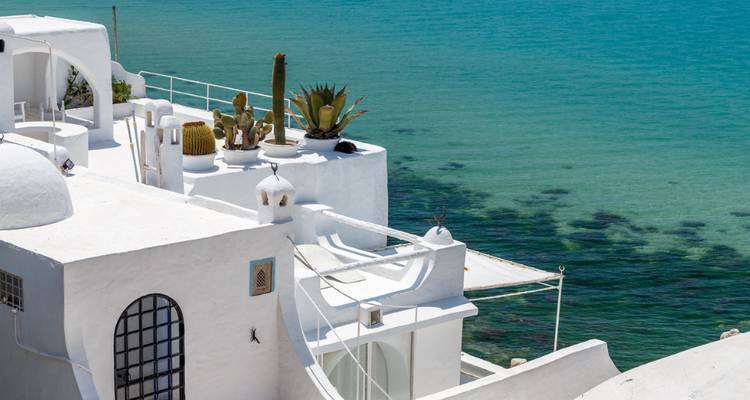 Toit-terrasse blanc avec des cactus surplombant une mer turquoise cristalline à Sidi Bou Saïd.
