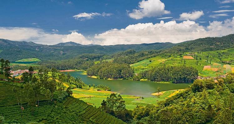 Vallée verdoyante luxuriante avec une rivière sinueuse et des plantations de thé en mosaïque sous un ciel bleu.