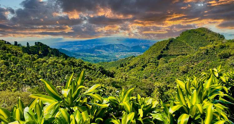Lebendige Sonnenuntergangswolken über sanften grünen Bergen und Tälern mit vereinzelten Bauernhöfen.