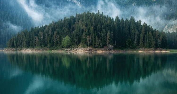 Neblige immergrüne Insel spiegelt sich perfekt in der gläsernen Oberfläche eines Bergsees bei Tagesanbruch.