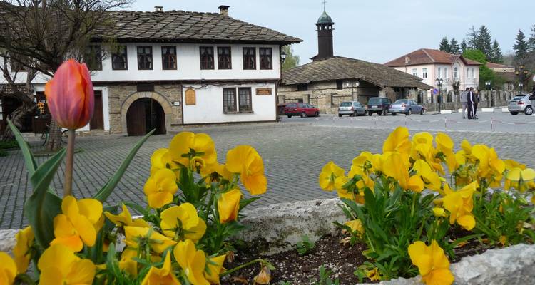 Place historique bulgare avec un bâtiment à colombages blancs et une tour d'horloge encadrés par des fleurs jaunes vives au premier plan.