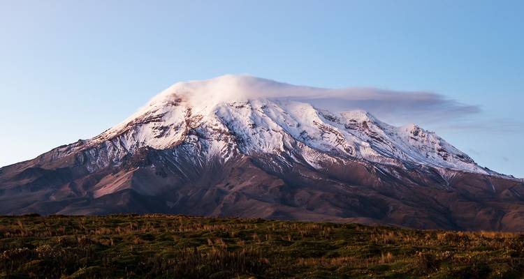 Cumbre nevada del Volcán Chimborazo emergiendo de las nubes bajas sobre la meseta andina al amanecer.