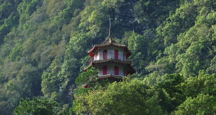 Pequeña pagoda roja se asoma a través del denso bosque verde en la ladera de una montaña.