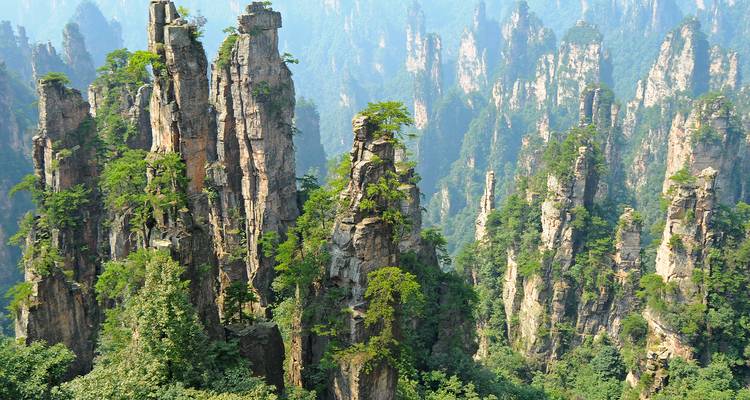 Dramatic forest-covered sandstone pillars rise vertically in Zhangjiajie National Park under hazy morning light.