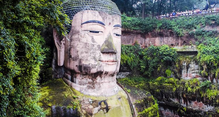 Rostro masivo tallado en acantilado del Gran Buda de Leshan rodeado de exuberante vegetación.