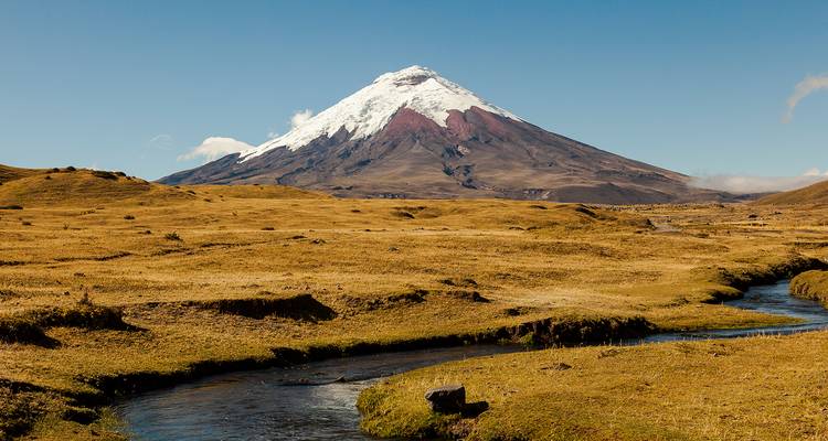 El volcán Cotopaxi cubierto de nieve se alza sobre las llanuras doradas de las tierras altas con un arroyo serpenteante.