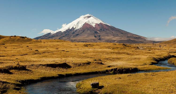 Le volcan Cotopaxi aux sommets enneigés se dresse majestueusement au-dessus des plaines d'altitude dorées et d'un cours d'eau sinueux.