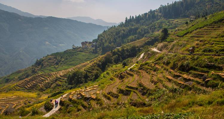 Vista panorámica de terrazas de arroz escalonadas que se extienden hacia picos brumosos distantes con dos caminantes en un sendero de tierra.