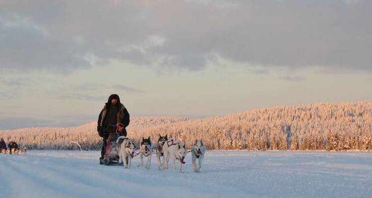 Un musher conduit un attelage de huskies à travers une vaste étendue enneigée avec une lumière orangée sur les collines boisées au loin.