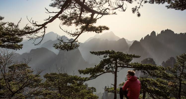 Hiker in red jacket rests on a pine-covered ledge overlooking misty jagged peaks of Huangshan at sunrise.