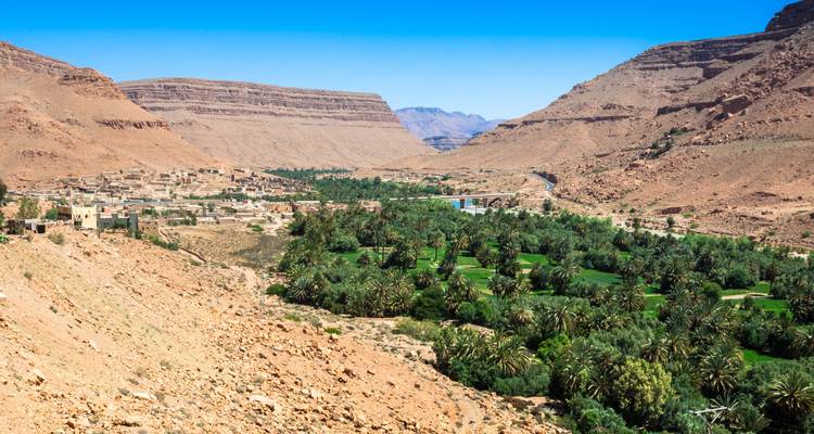 Valle desértico rocoso que se abre a un oasis verde y exuberante con casas dispersas bajo un cielo azul despejado.