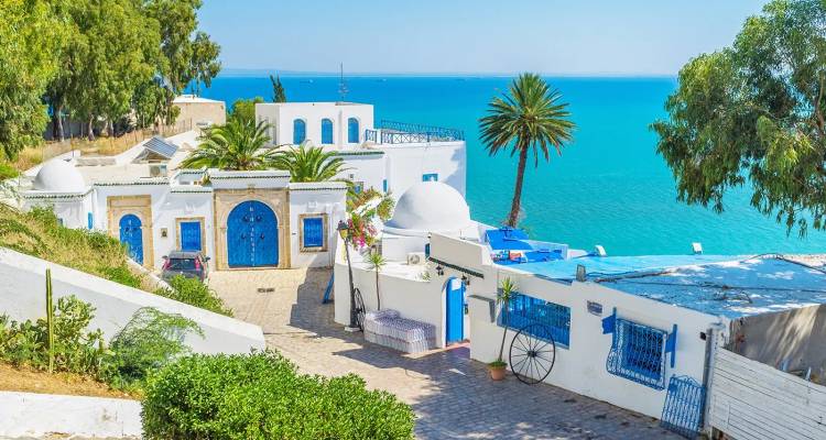 Witgekalkte huizen met blauwe deuren van Sidi Bou Said met uitzicht op de turquoise Middellandse Zee met palmbomen.