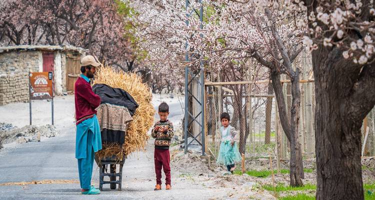 Lokale man duwt een kar met hooi terwijl twee kinderen tussen lentebloesembomen staan langs een landelijke weg.