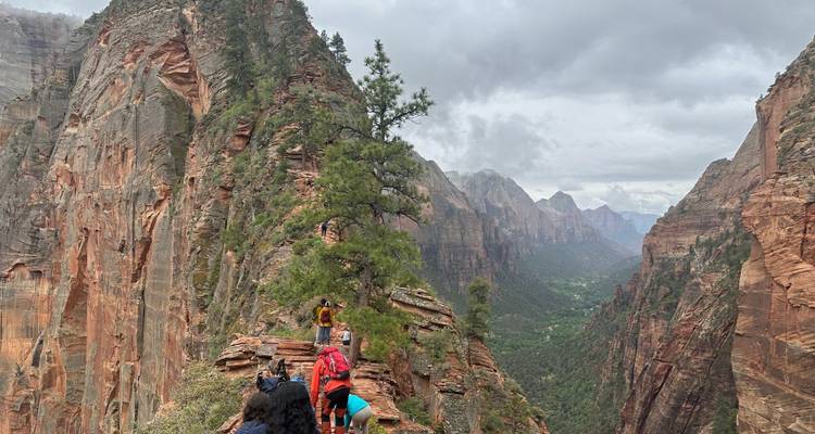 Wanderer erklimmen schmalen felsigen Grat von Angel's Landing mit steilen Abgründen und dramatischer Canyon-Kulisse unter bewölktem Himmel.