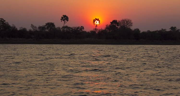 A vivid orange sun setting behind two palm trees across a wide rippling river
