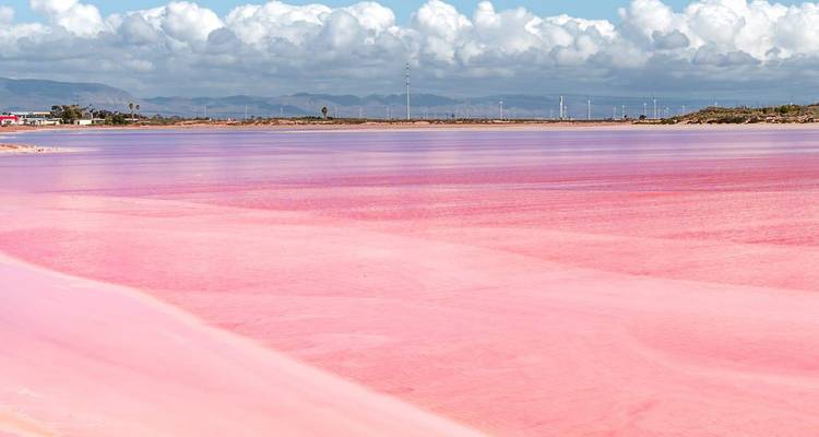 Vast pink salt lake shimmering under partly cloudy skies with distant mountains.