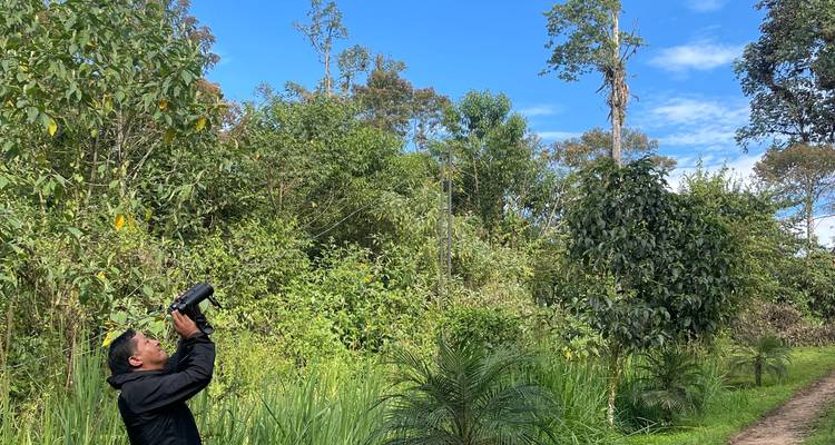 Guide tenant des jumelles vers le ciel tout en observant les oiseaux sur un sentier de jungle luxuriante.