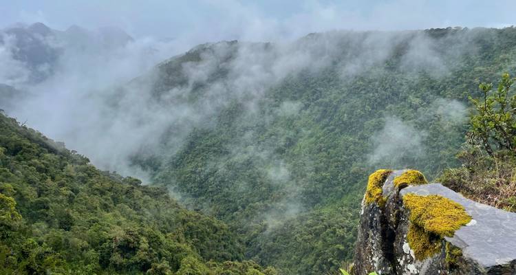 Vallée de forêt nuageuse brumeuse avec des pentes vertes denses disparaissant dans de bas nuages et des rochers couverts de mousse au premier plan.