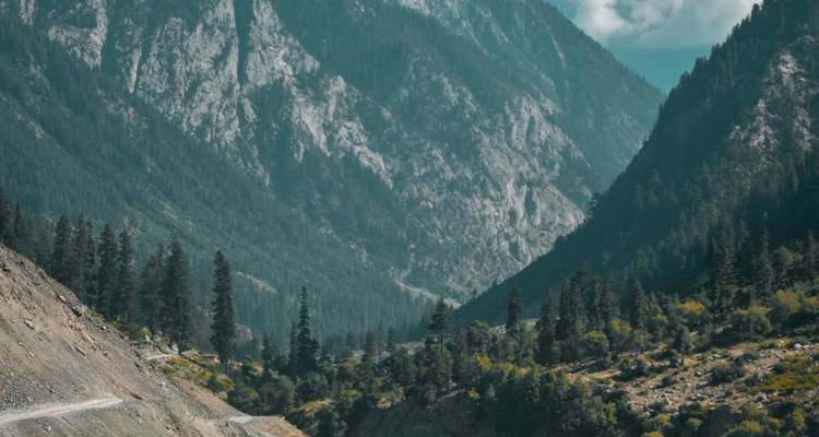 Des vallées escarpées couvertes de pins et des falaises grises rugueuses sous un ciel sarcelle brumeux.