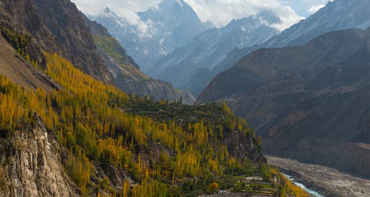 Cordillera montañosa brumosa estratificada detrás de laderas cubiertas de álamos amarillos otoñales
