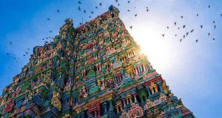 Leuchtende Gopuram-Türme gegen die Sonne mit schwärmenden Vögeln und strahlendem Gegenlicht.