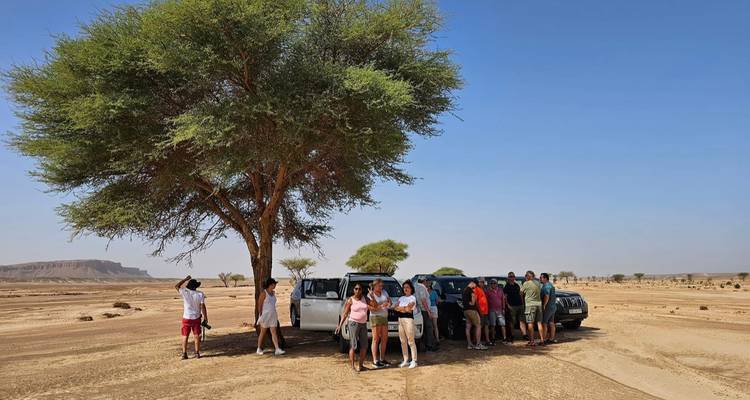 Konvooi van safarivoertuigen en toeristen rust onder een eenzame woestijnboom