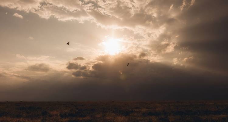 Un soleil dramatique perce les nuages d'orage au-dessus d'une vaste plaine herbeuse.