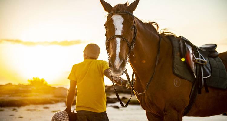 Hombre de pie con un caballo al atardecer en una playa arenosa, luz dorada y cálida en el fondo
