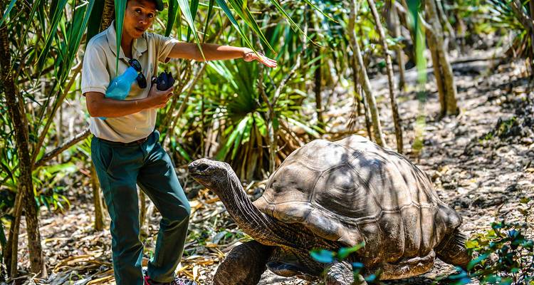 Guía gesticulando junto a una tortuga gigante caminando por un parque boscoso