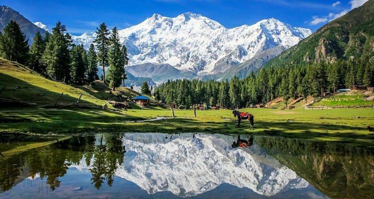Le Nanga Parbat enneigé se reflète parfaitement dans un lac tranquille de prairie alpine.