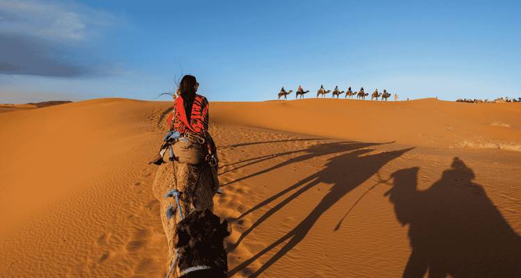 Caravane de chameaux traversant les dunes de sable doré au lever du soleil projetant de longues ombres