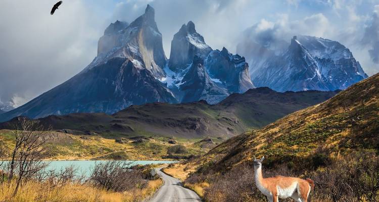 Dramatische torenspitsen van Torres del Paine rijzen op boven het turquoise meer en de met guanaco's bezaaide vallei.