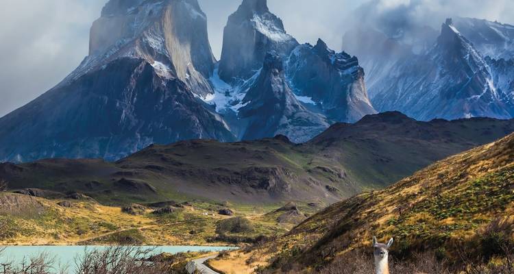 Les pics déchiquetés de Torres del Paine s'élèvent derrière un lac couleur menthe et une route sinueuse avec un guanaco solitaire
