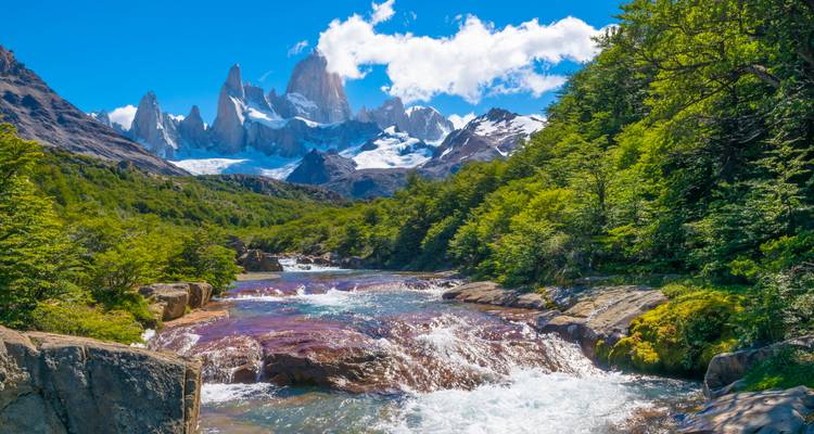Un ruisseau cristallin cascade vers le mont Fitz Roy couronné de neige, entouré par la luxuriante forêt patagonienne.