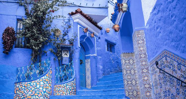 Ruelle pittoresque peinte en bleu avec des marches carrelées et des plantes en pot à Chefchaouen.