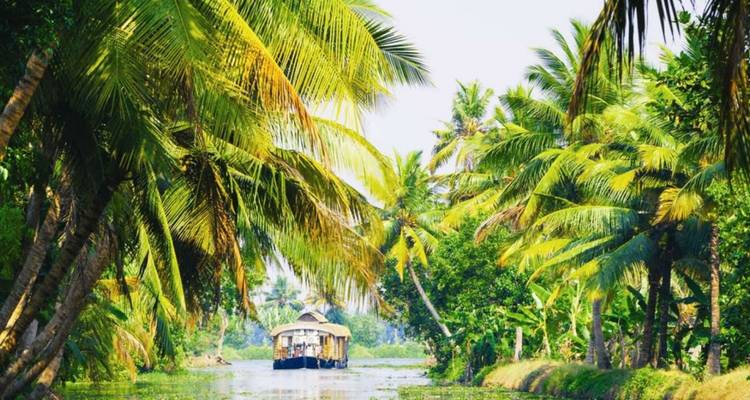 Péniche traditionnelle au toit de chaume naviguant à travers des backwaters luxuriants bordés de palmiers.