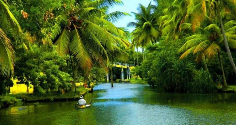 Petit canoë pagayant le long d'une voie navigable étroite et verte ombragée par de denses palmiers tropicaux.