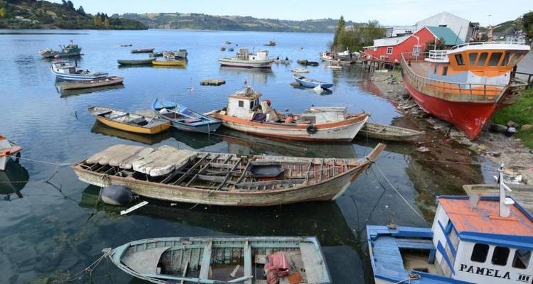 Kleurrijke vissersboten en rubberbootjes drijven naast een rustiek havendorp.
