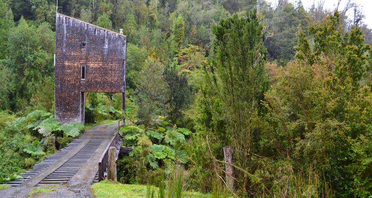 Alte hölzerne Eisenbahnbrücke, die einen üppigen gemäßigten Regenwald mit leuchtenden Farnen durchquert.